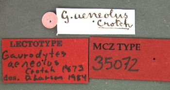 Media type: image;   Entomology 35072 Aspect: labels